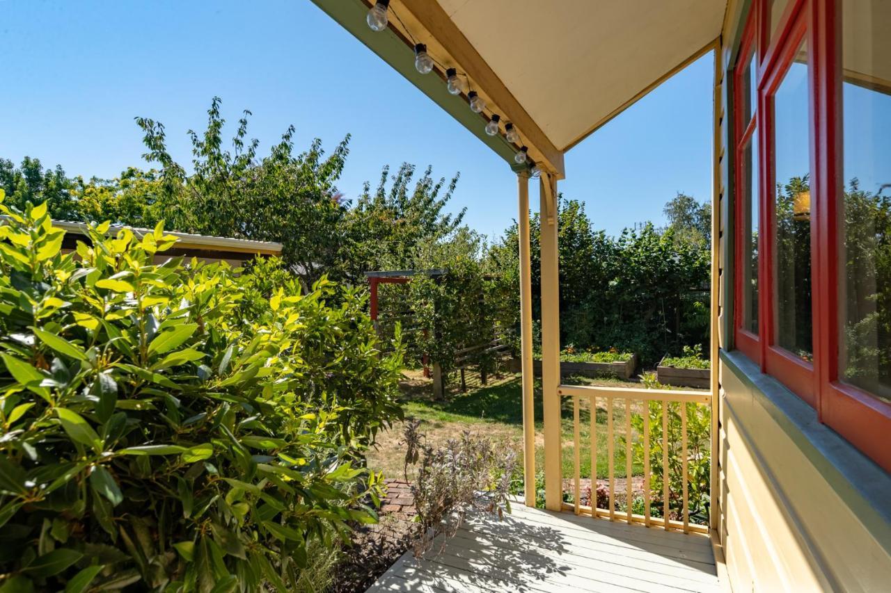 Shy Cottage And Studio Greytown Buitenkant foto