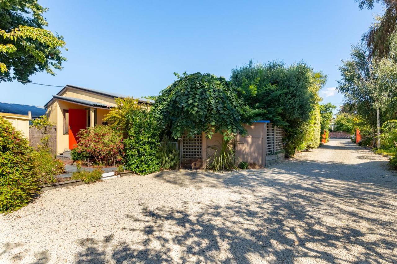 Shy Cottage And Studio Greytown Buitenkant foto