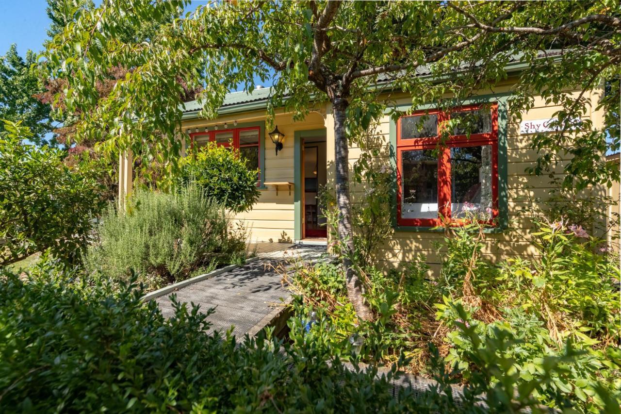 Shy Cottage And Studio Greytown Buitenkant foto