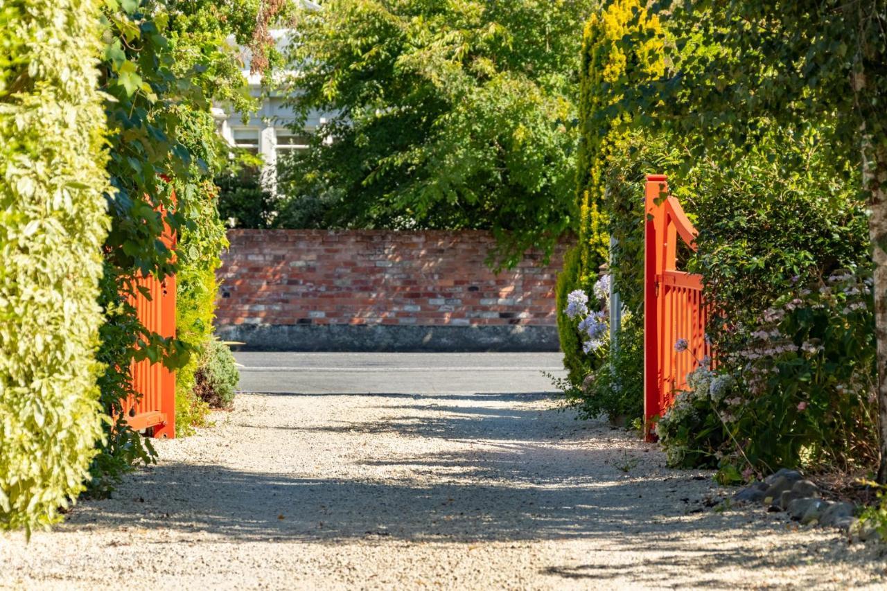 Shy Cottage And Studio Greytown Buitenkant foto