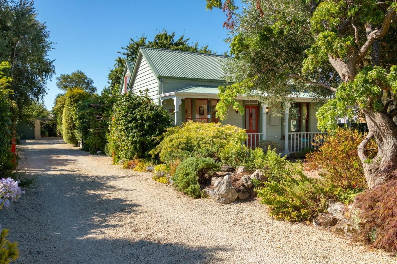 Shy Cottage And Studio Greytown Buitenkant foto