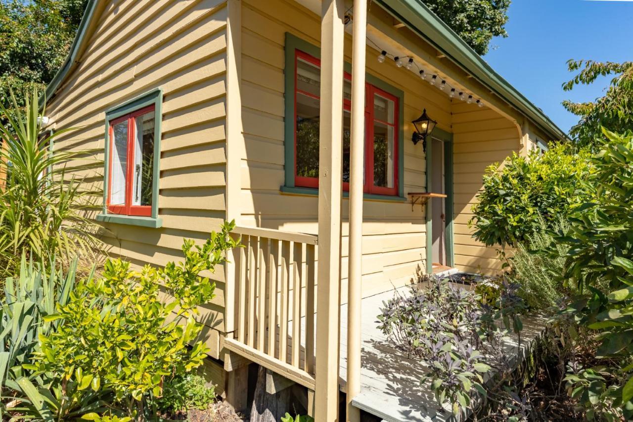 Shy Cottage And Studio Greytown Buitenkant foto