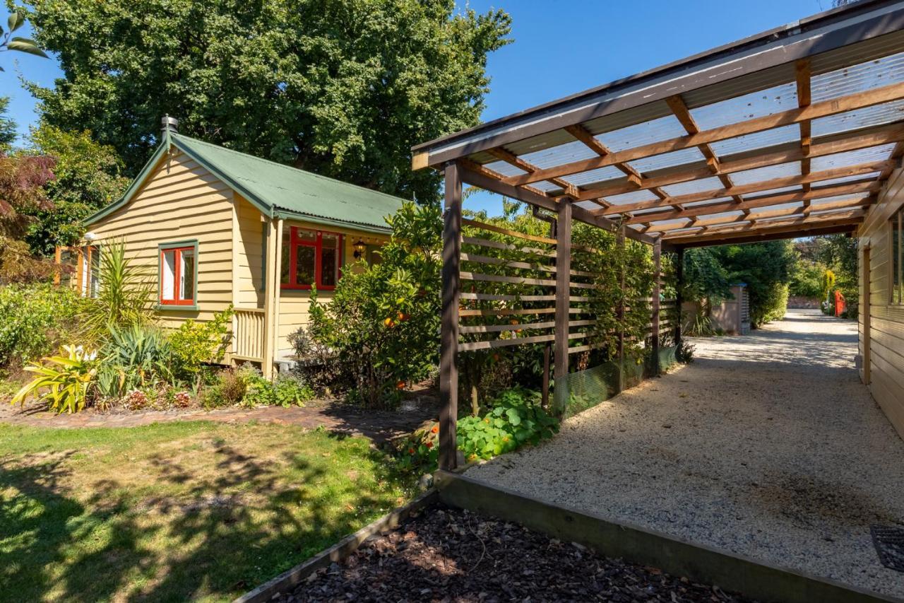Shy Cottage And Studio Greytown Buitenkant foto